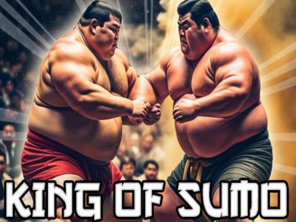 Sumo Arena King: Epic Rumble Duels